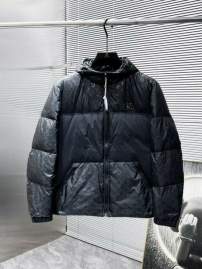Picture of Louis Vuitton Down Jackets _SKULVM-3XL25wr4237655